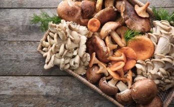 What Are The Benefits Of Mushrooms For Weight Loss?